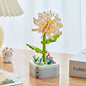 Flowers Preserved Fresh Flower Roses Valentine's Day Gift