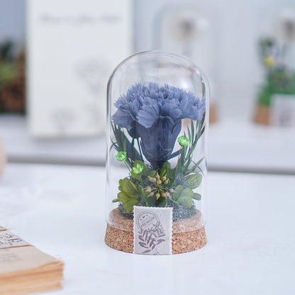 Mother's Day Gift Carnation Wishing Bottle Dandelion Preserved Fresh Flower Material Package