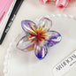 High Sense Plumeria Rubra Seaside Holiday Barrettes