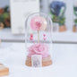 Mother's Day Gift Carnation Wishing Bottle Dandelion Preserved Fresh Flower Material Package