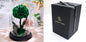 Glass Cover Tanabata Valentine's Day Immortal Rose Gift