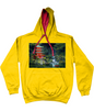 ASLAN Hoodie two tone-Grey Various Colours and Sizes