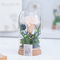 Mother's Day Gift Carnation Wishing Bottle Dandelion Preserved Fresh Flower Material Package