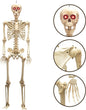 Halloween Skull Fish Skeleton Hanger 80cm - Realistic Spooky Decoration