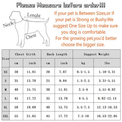 Autumn And Winter New Year's Clothes For Cats And Dogs, Festive Chinese-style Brocade Two-legged Cotton-padded Jackets, Blue Cat And Kitten Tang Suits And Vests