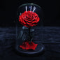 Glass Cover Tanabata Valentine's Day Immortal Rose Gift