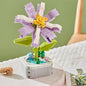 Flowers Preserved Fresh Flower Roses Valentine's Day Gift