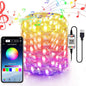 APP Light String Mobile Phone Bluetooth USB Copper Wire Music Decorative Lantern
