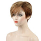 Wig With Short Straight Bangs