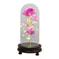 Valentine's Day Gift Simulation Gold Foil Rose Lamp Glass Cover Ornaments Color Box Packaging