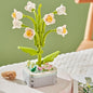 Flowers Preserved Fresh Flower Roses Valentine's Day Gift