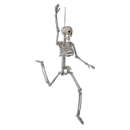 Halloween Skull Fish Skeleton Hanger 80cm - Realistic Spooky Decoration
