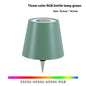 Plug-in Wine Bottle Lights Metal Wine Bottle Table Lamp Rechargeable