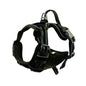 Chest Strap Adjustable Outdoor Dog Pet