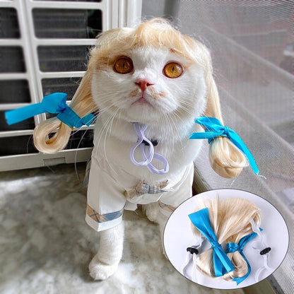 Pet Wig Afro Bangs Cat