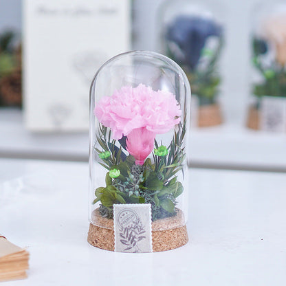 Mother's Day Gift Carnation Wishing Bottle Dandelion Preserved Fresh Flower Material Package