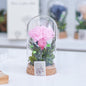 Mother's Day Gift Carnation Wishing Bottle Dandelion Preserved Fresh Flower Material Package