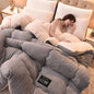 Winter Bedding Thick Quilt Blanket Thick Warm Flannel Fleece Comforter for Cold