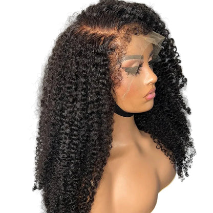 Brazilian 4C Blend Edges Afro Kinky Curly 360 Full Lace Wig 100% Human Hair 13x4 Lace Frontal Wigs Human Hair Bye-Bye Knots 250%