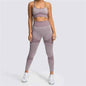 Seamless Sports Bra and High Waist Leggings Set for Women - Gym, Fitness, Running, Yoga (2 Piece Set)