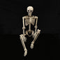 Halloween Skull Fish Skeleton Hanger 80cm - Realistic Spooky Decoration