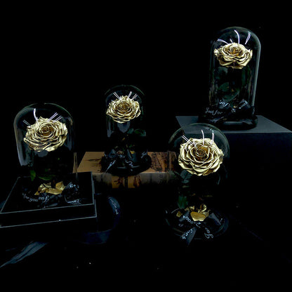 Glass Cover Tanabata Valentine's Day Immortal Rose Gift