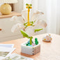 Flowers Preserved Fresh Flower Roses Valentine's Day Gift