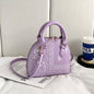 New Paisley Portable One-shoulder Crossbody Hand Carrying Shell Bag