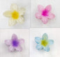 Egg Bauhinia Flower Back Spoon Grasping Hair Clip