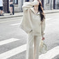 Knitted Zipper Cardigan Wide Leg Pants Solid Color Two-piece Set