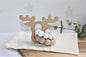Baby Wooden Rattles, Raw Wooden Toys, Silicone Beads Color Enlightenment Education, Chewable Toys