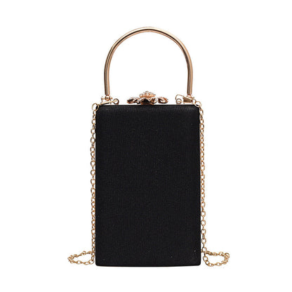 Vintage Special Material Ladies Dinner Bag
