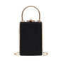 Vintage Special Material Ladies Dinner Bag