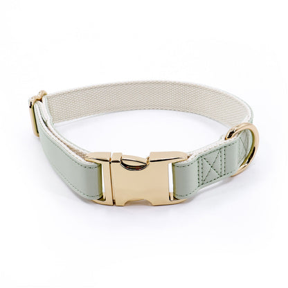 Pet Collar Metal Buckle High Quality All-match
