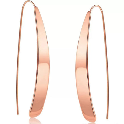 Minimalist Geometric Stainless Steel Ear Hooks