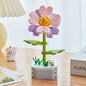 Flowers Preserved Fresh Flower Roses Valentine's Day Gift