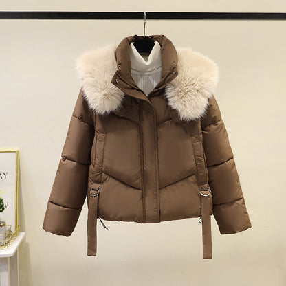 Women's Short Cotton-padded Jacket, Versatile And Fashionable, Stand-up Collar, Thick And Warm Loose Style