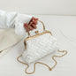 Fashionable Simple One-shoulder Portable Shell Bag
