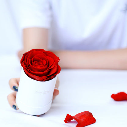 Thanksgiving Day Gift For Mother Flower Pot 1 A- A Rose Production Upgrade Small Size Gift Box