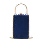 Vintage Special Material Ladies Dinner Bag