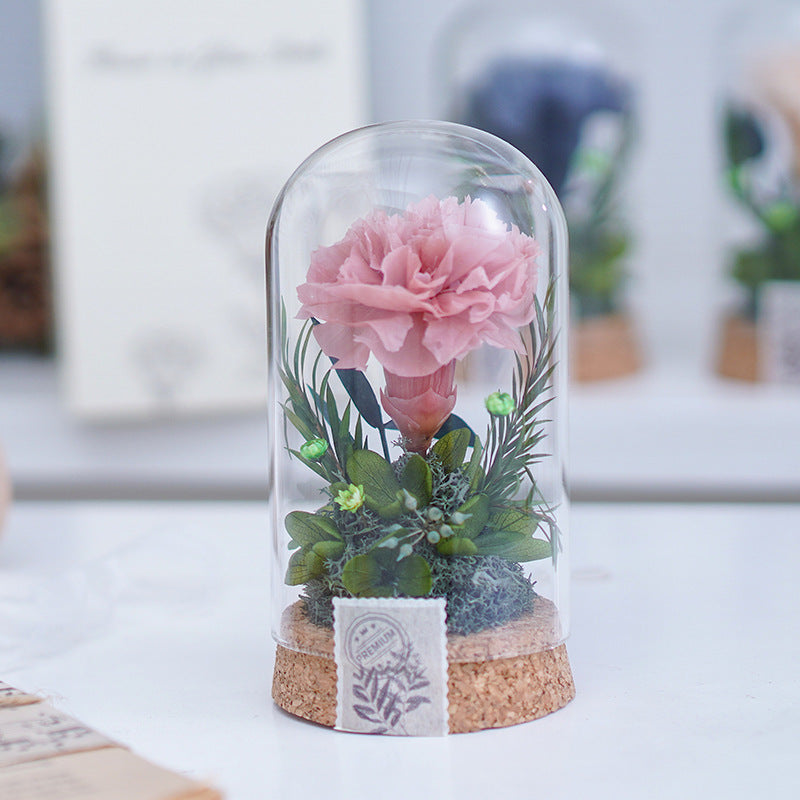 Mother's Day Gift Carnation Wishing Bottle Dandelion Preserved Fresh Flower Material Package
