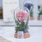 Mother's Day Gift Carnation Wishing Bottle Dandelion Preserved Fresh Flower Material Package