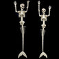 Halloween Skull Fish Skeleton Hanger 80cm - Realistic Spooky Decoration