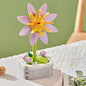 Flowers Preserved Fresh Flower Roses Valentine's Day Gift