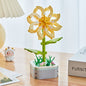 Flowers Preserved Fresh Flower Roses Valentine's Day Gift