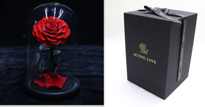 Glass Cover Tanabata Valentine's Day Immortal Rose Gift
