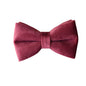 Bowknot   Foreign Trade Pet Supplies