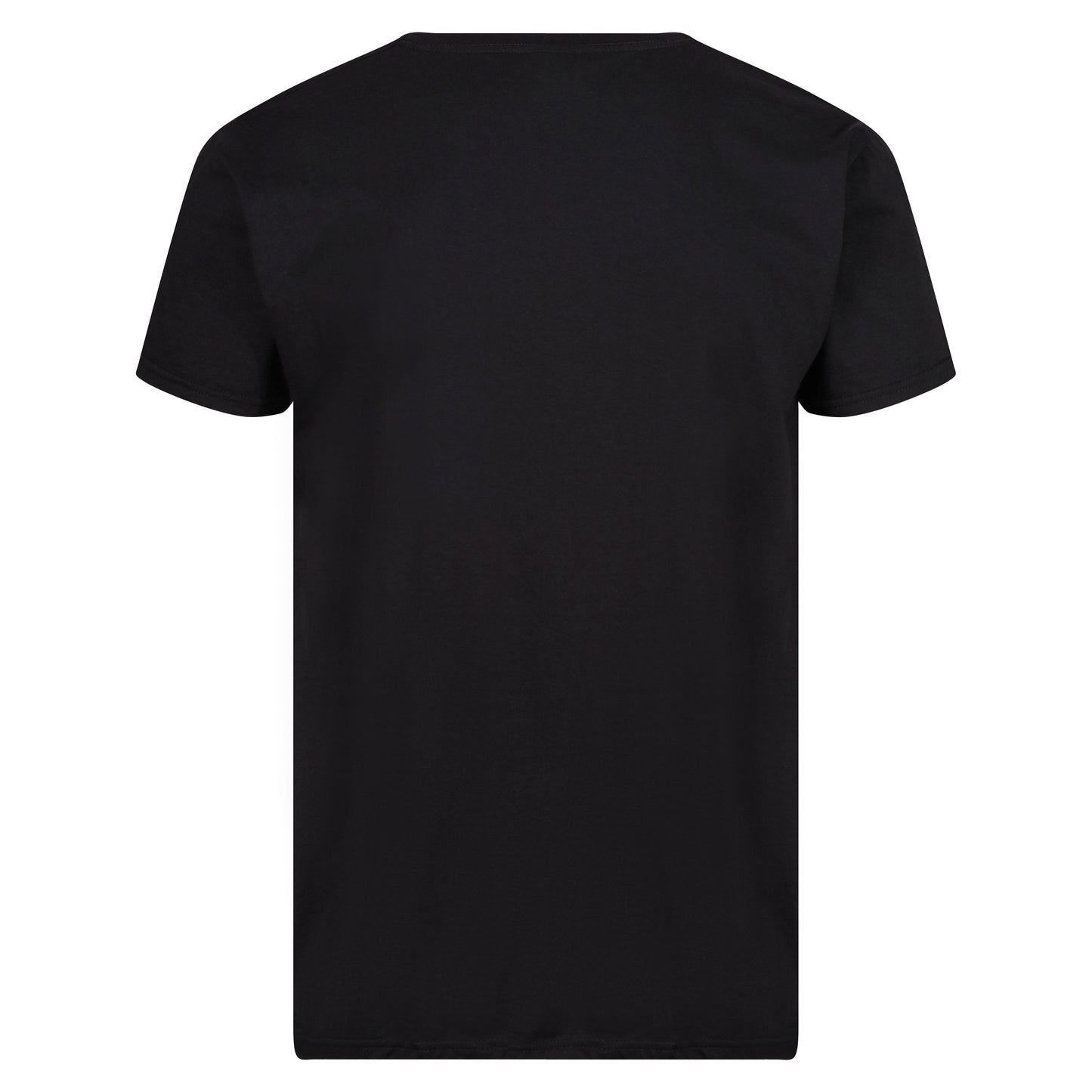 Fruit of the Loom Iconic 165 Classic T-Shirt