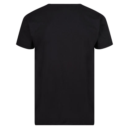 Fruit of the Loom Iconic 165 Classic T-Shirt