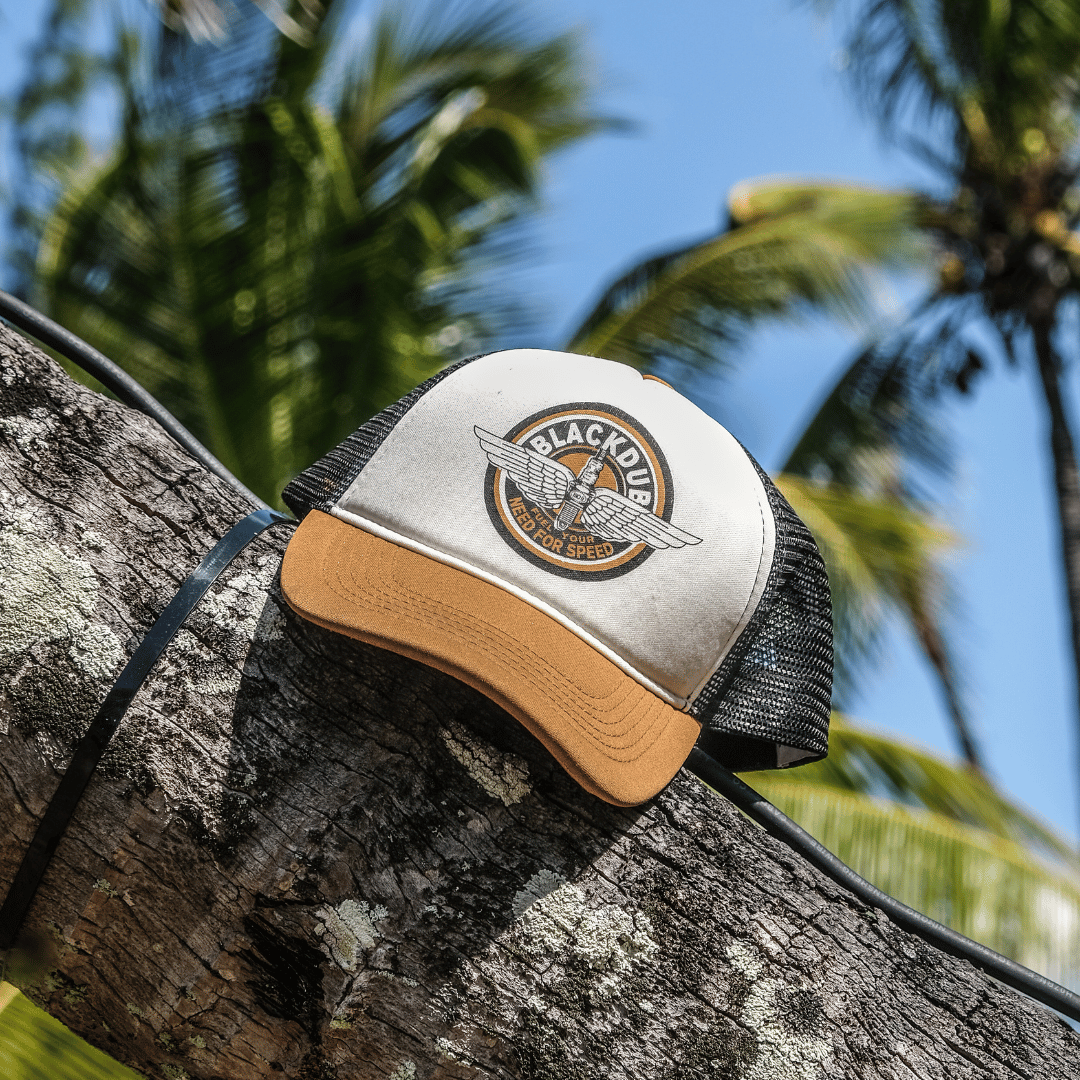 Circle Wings Cap